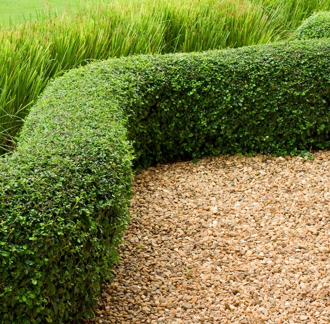 Gallery Page Images Decorative Aggregates 20mm Cotswold