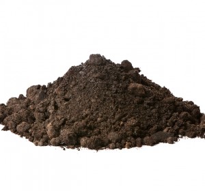 Topsoil - Multi Purpose